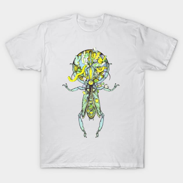 Spatial Nose Beetle T-Shirt by ImmortalPink